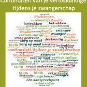 Verloskundige Zwolle Stadshagen